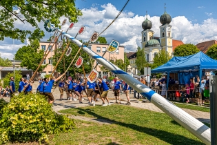 Maibaum 2025 kl
